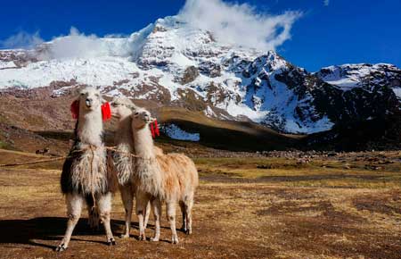 3 Días Caminata<strong>Hacia Ausangate</strong>